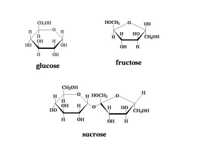 glucose-fructose-sucrose